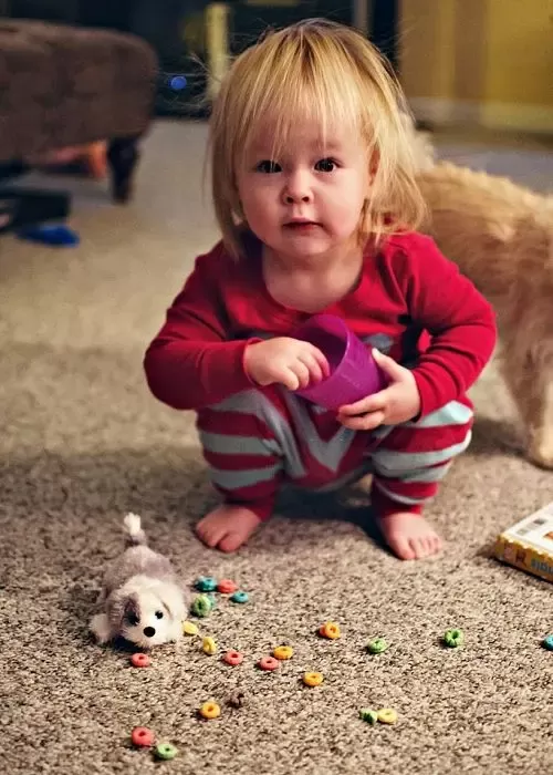 carpet-cleaning-services-1